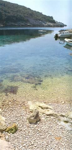 scan0006